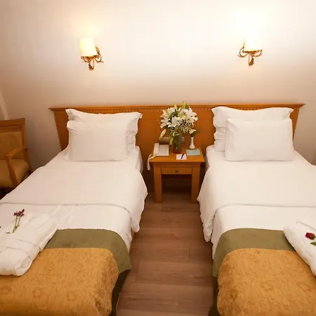 Otel Usta Park