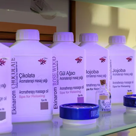 Usta Park 4* トラブゾン