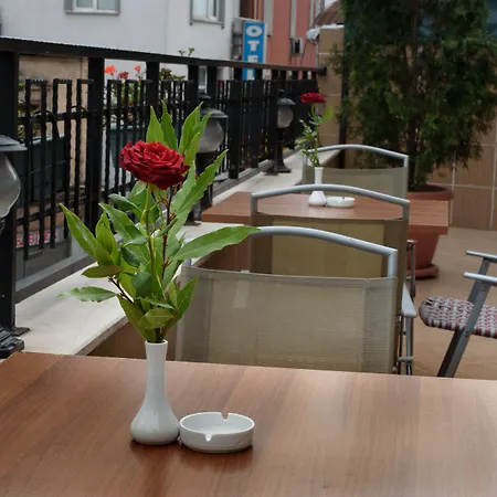 Hotel Usta Park 4*