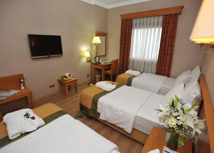 Hotel Usta Park Trabzon