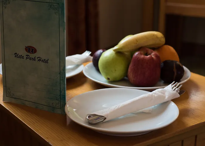 Usta Park Hotel 4*